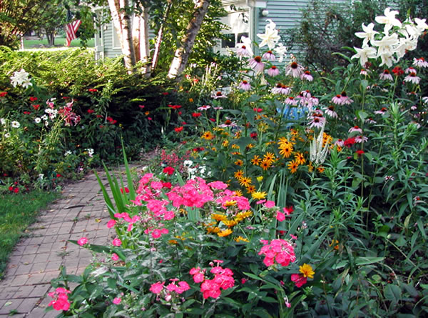 front walk in summer
